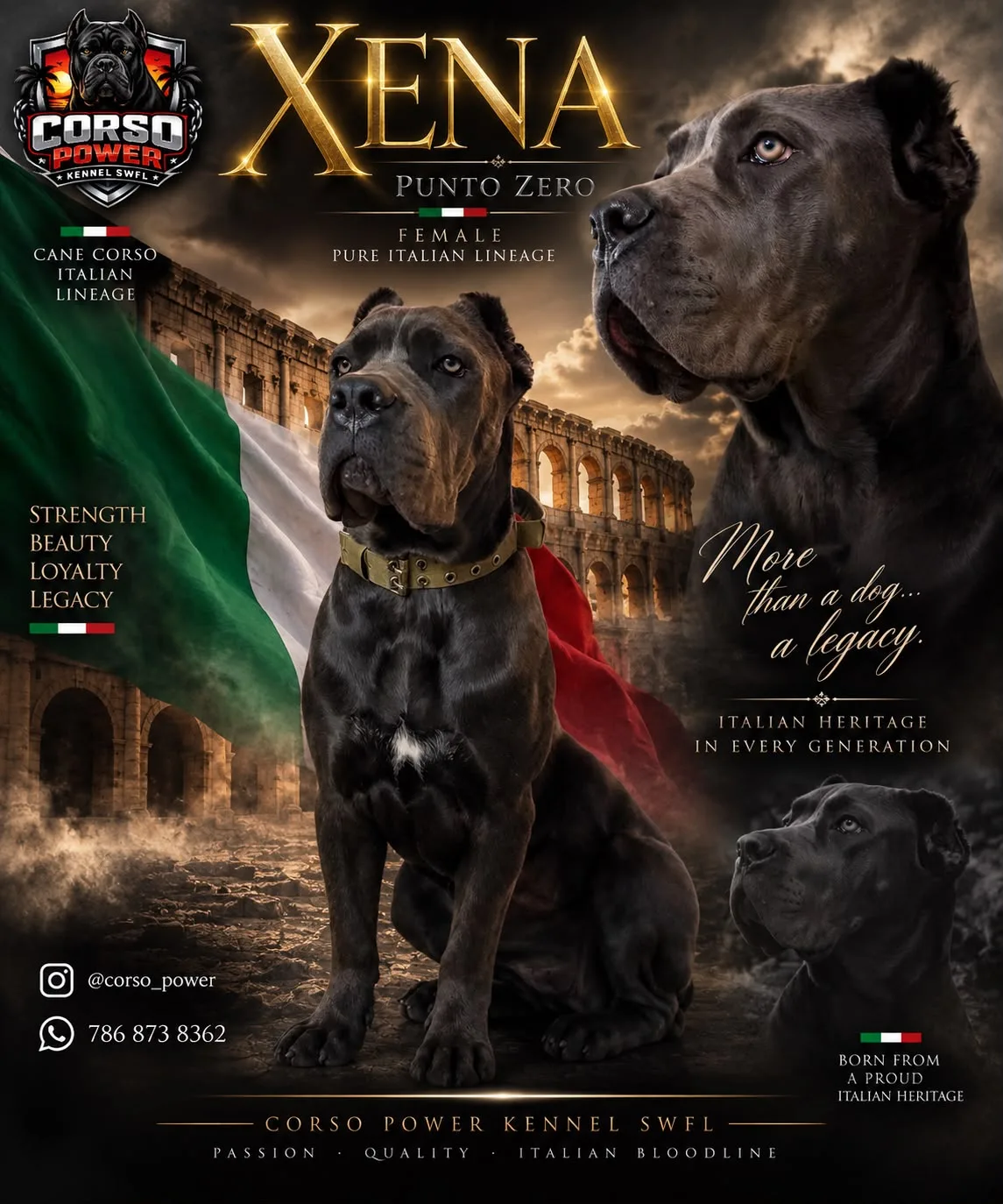 Xena Punto Zero