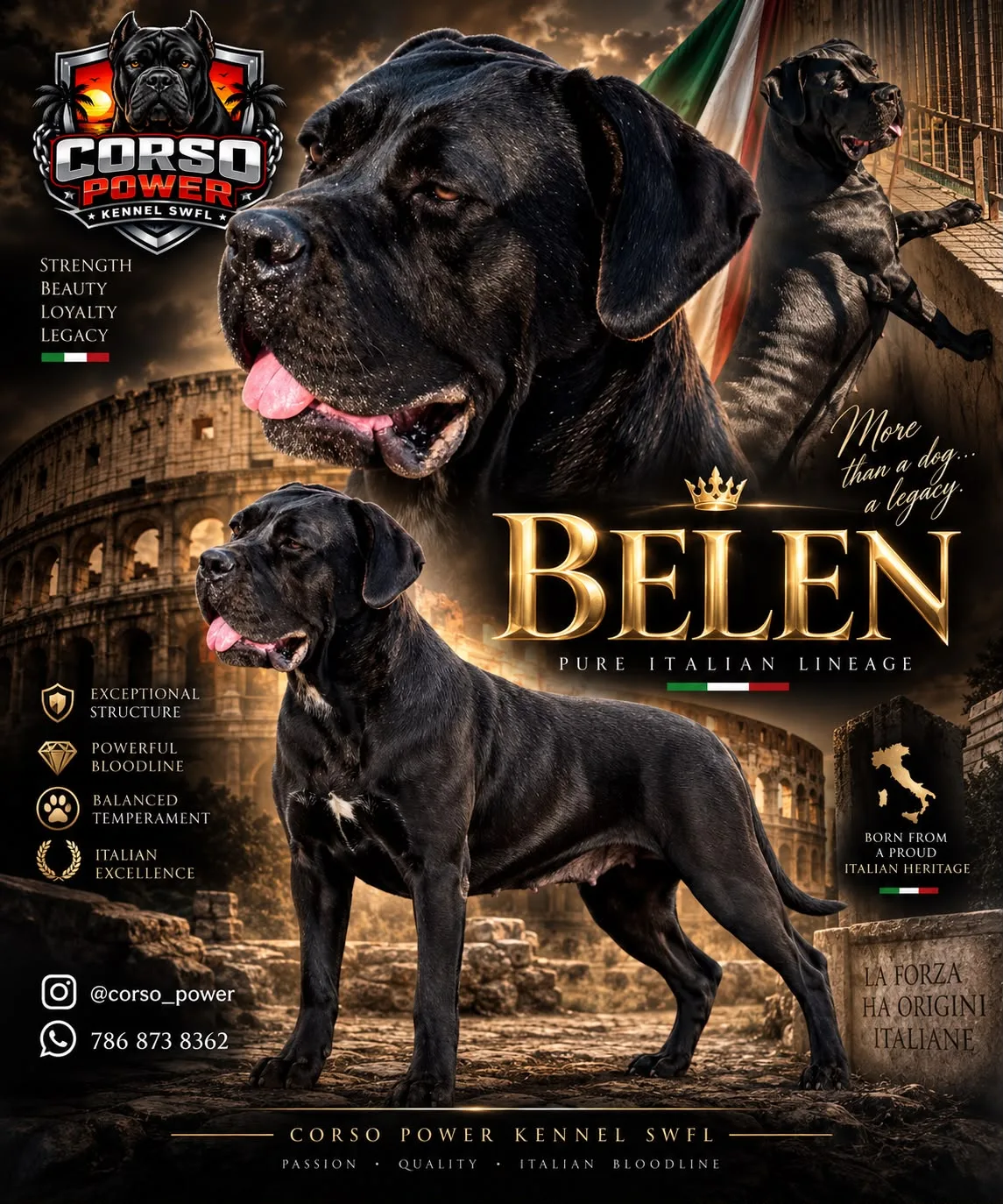Belen