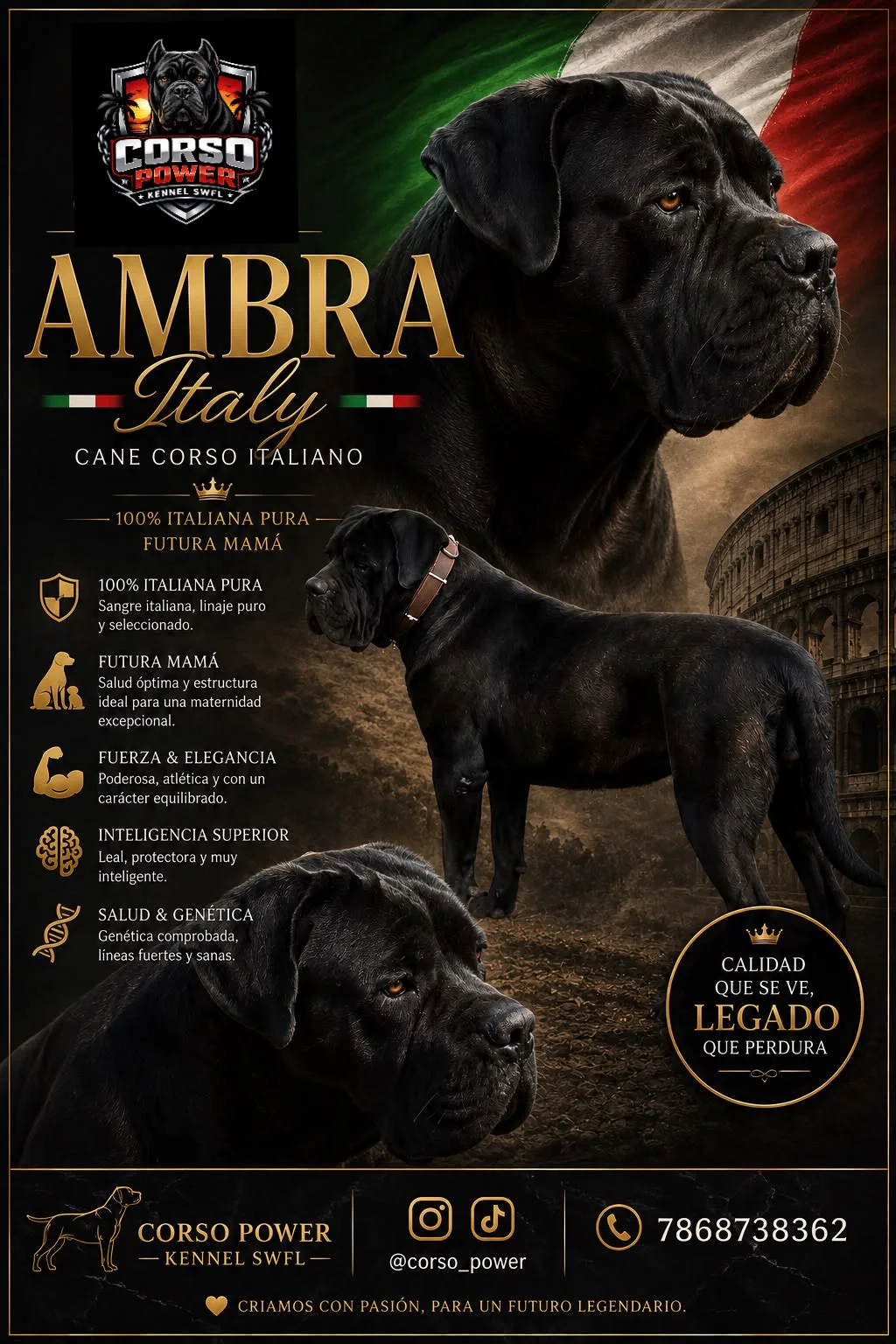 Ambra Italy