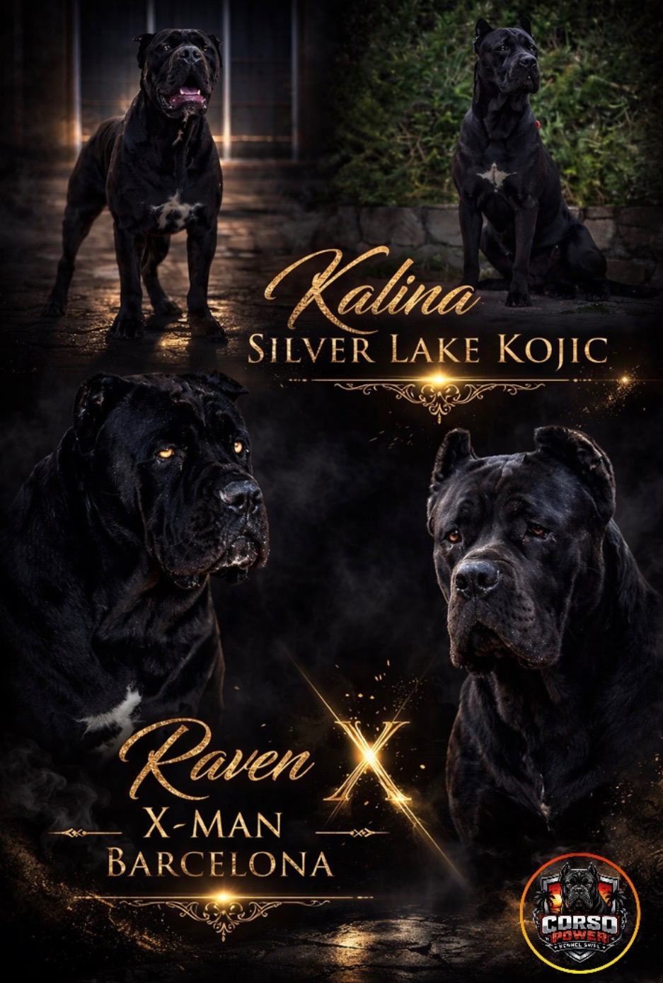 Raven X-Man y Kalina Silver Lake Kojic — padres Corso Power